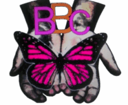 Beautiful Butterfly Connection